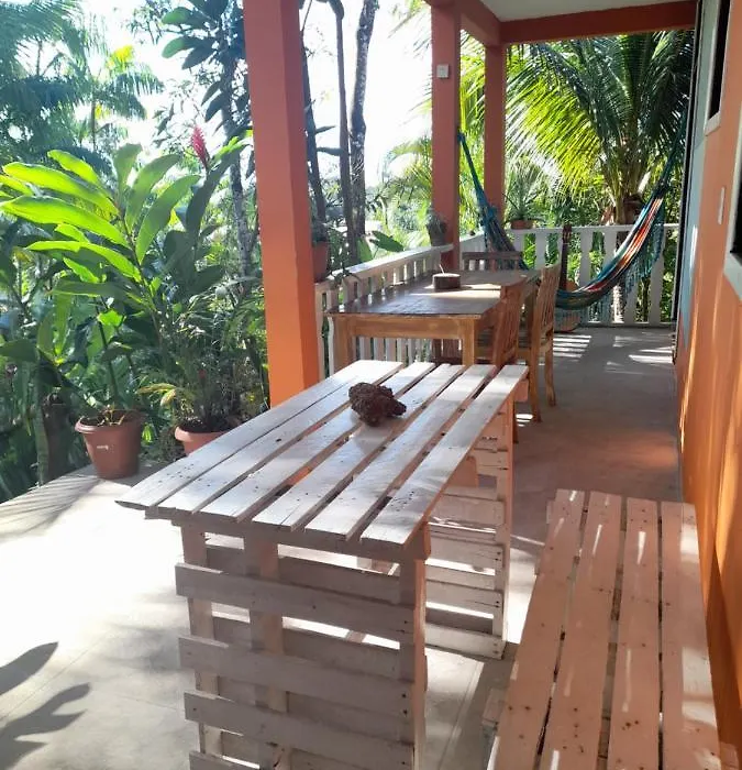 Casa Na Floresta-1