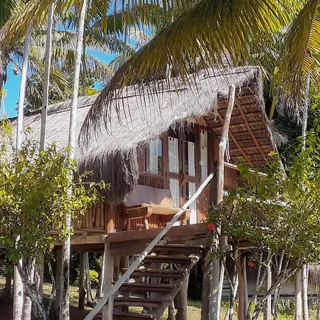 Art Jungle Eco Lodge-3
