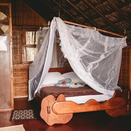Art Jungle Eco Lodge-2