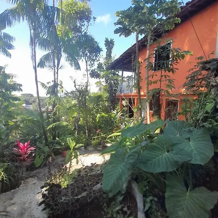 Casa Na Floresta-2