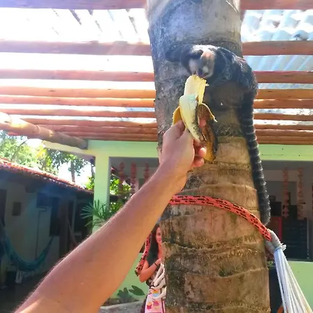 Pousada Tikuna-3